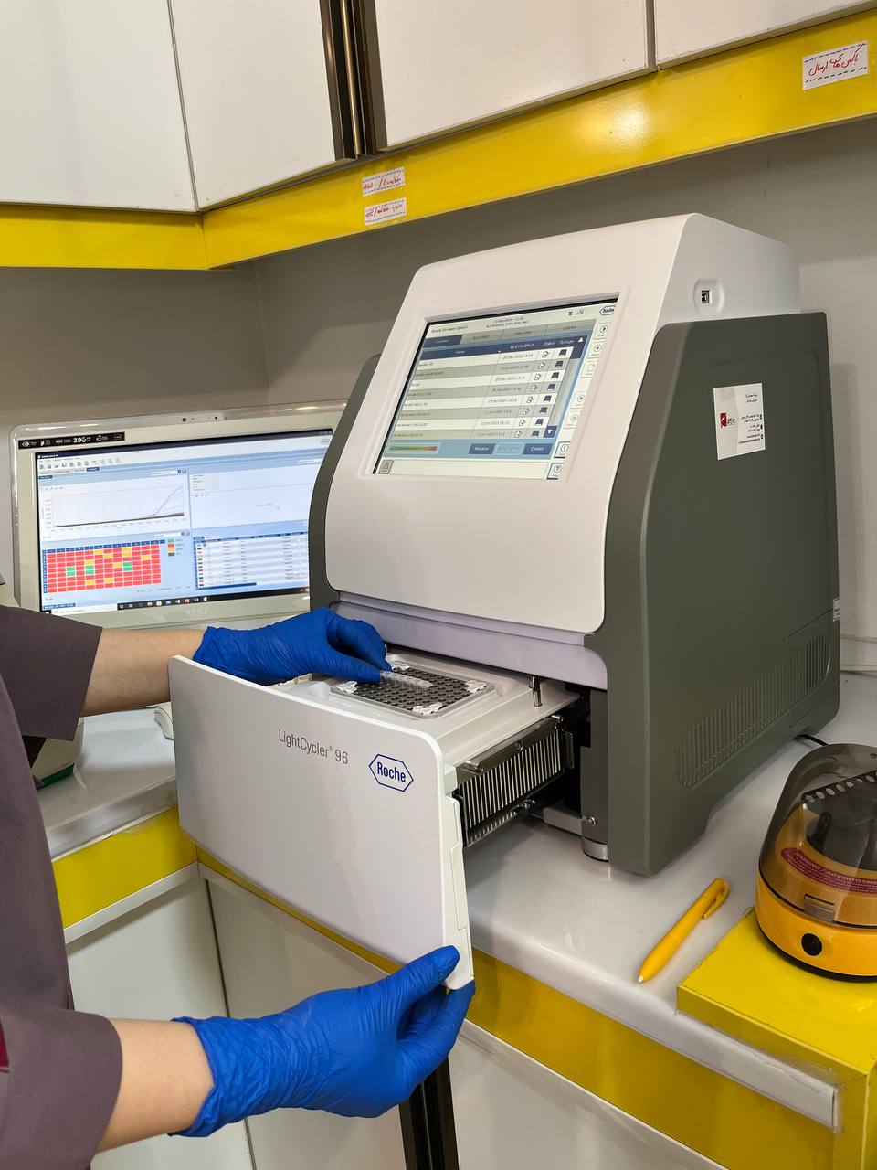 photo_2024-05-13_16-42-51